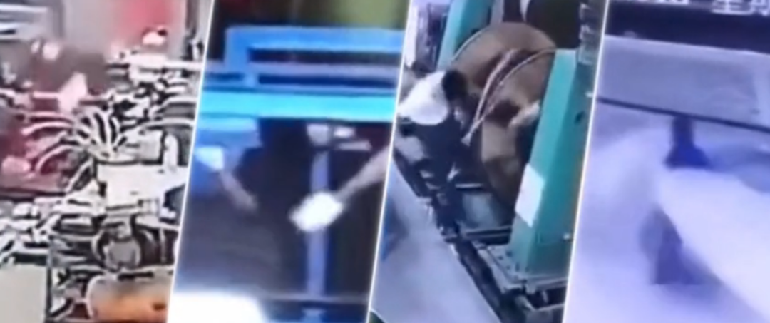 微信图片_20220304163739.png 微信图片_20220304163739.png